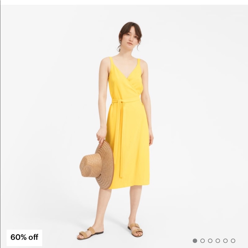 Everlane Japanese goweave tamk wrap dress